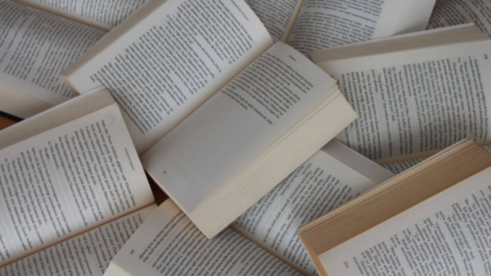 photo_2025-11-06_19-18-49