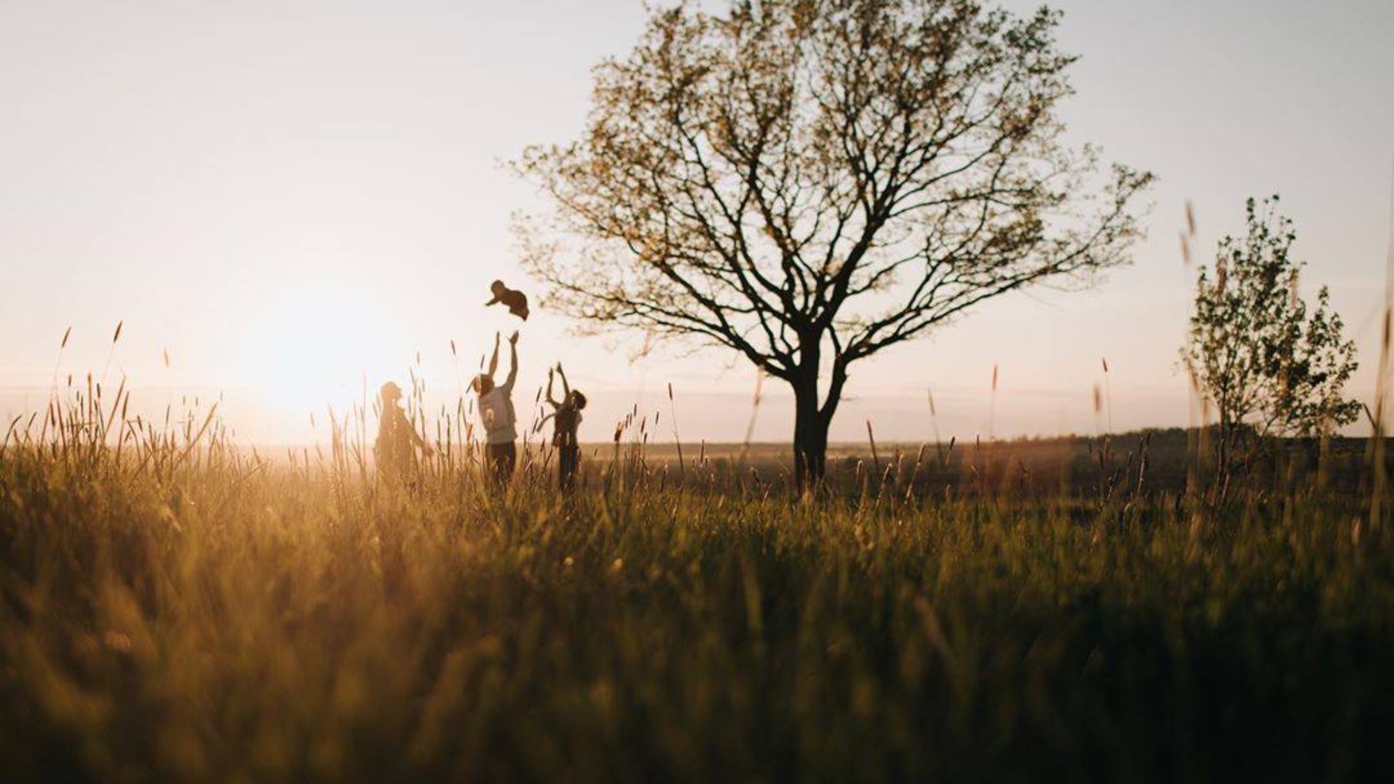 photo_2025-11-06_21-33-08