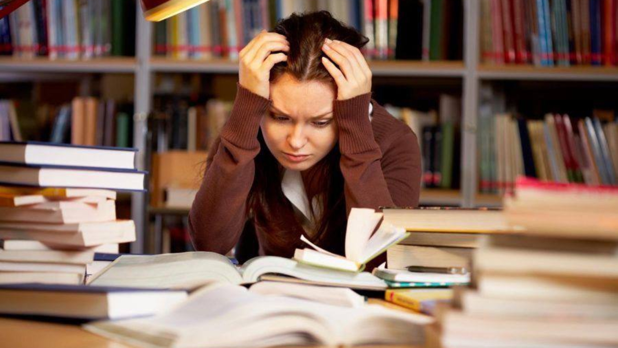 photo_2025-11-18_17-45-03