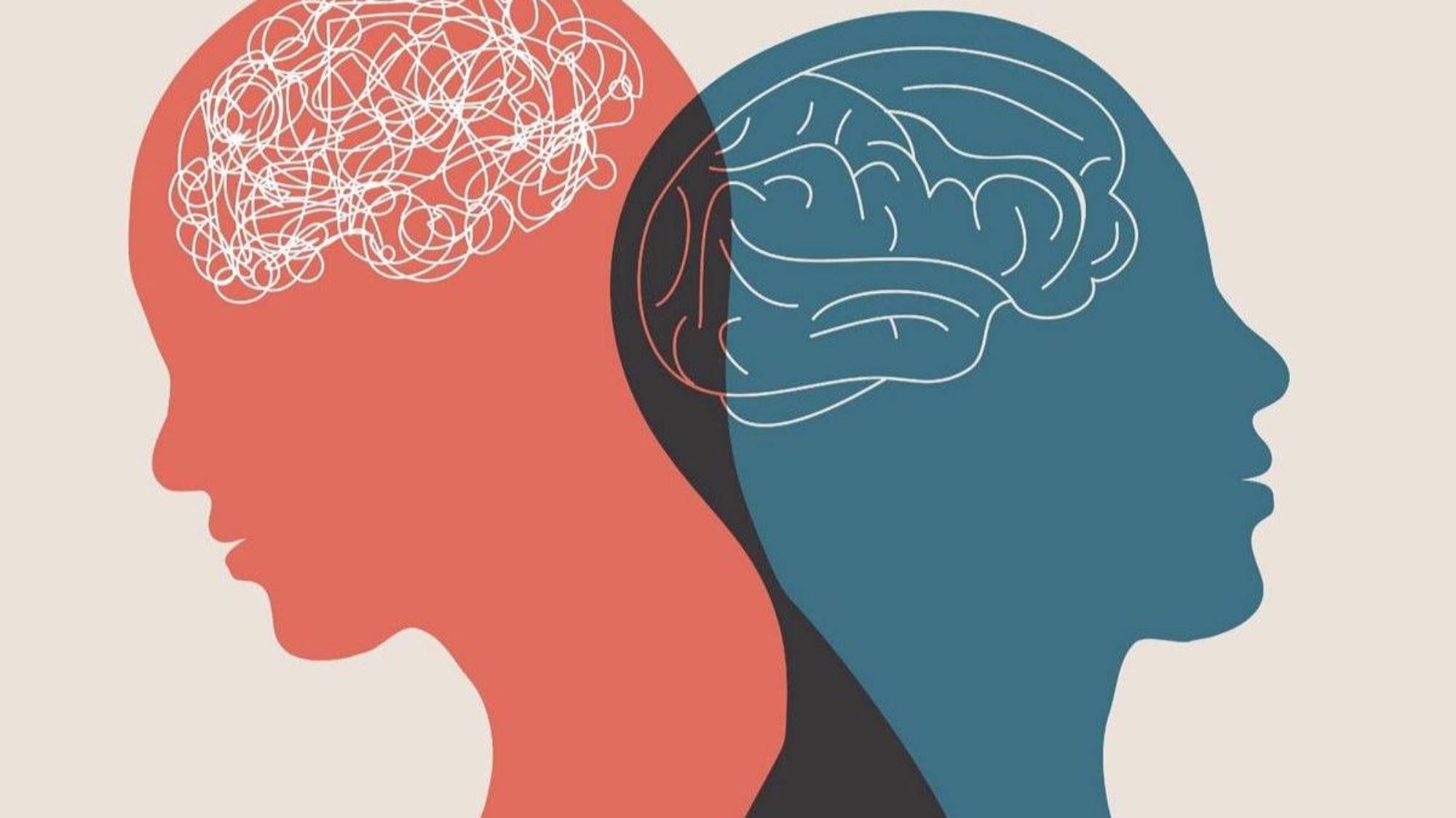 photo_2025-11-28_15-18-29