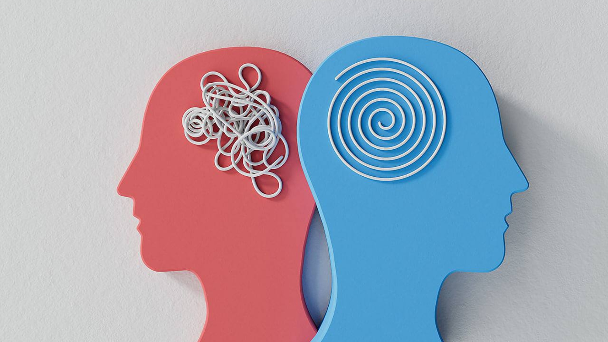 photo_2025-12-26_12-02-34