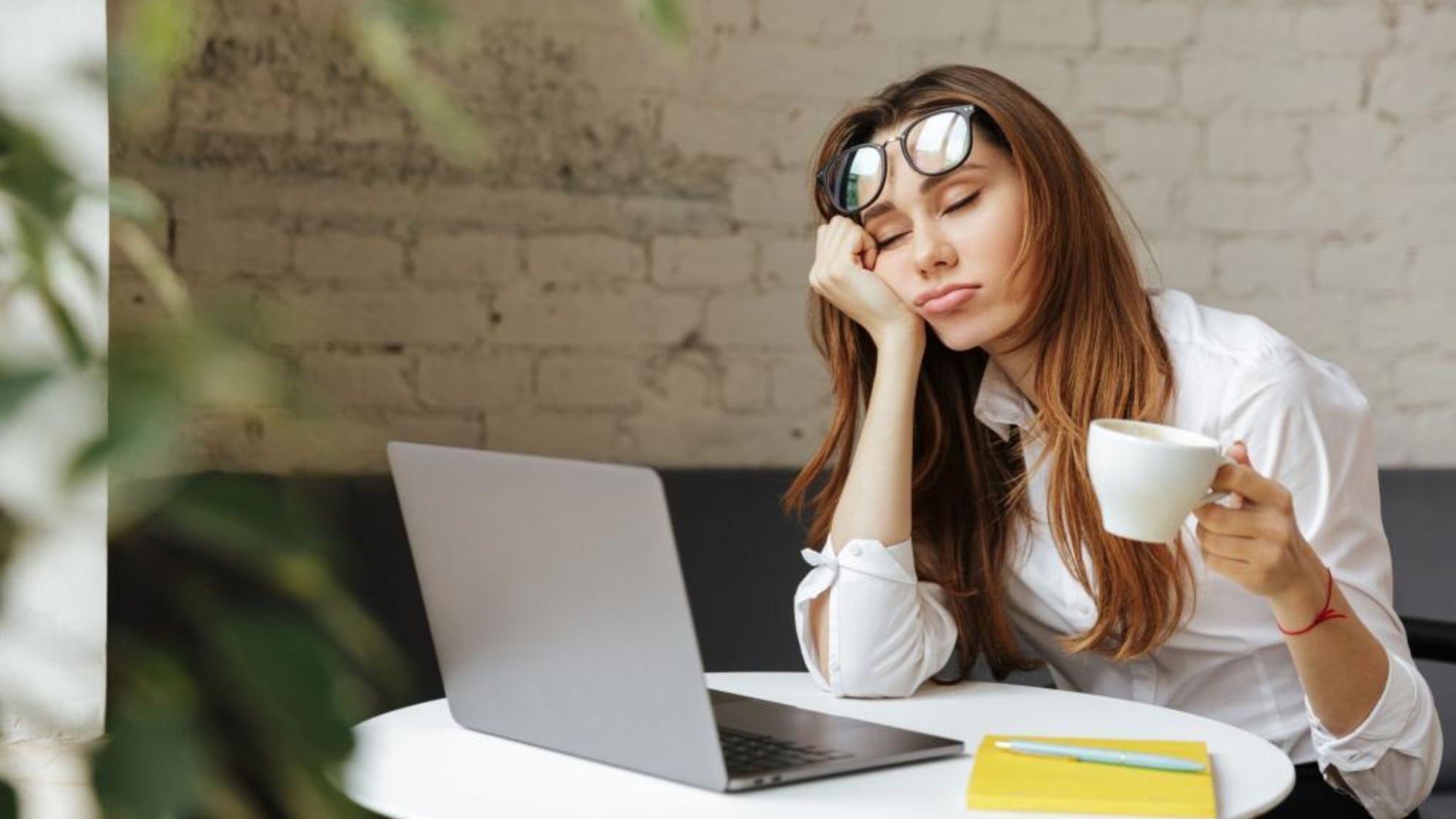 shutterstock_1019344711-scaled-1-1024x683-1