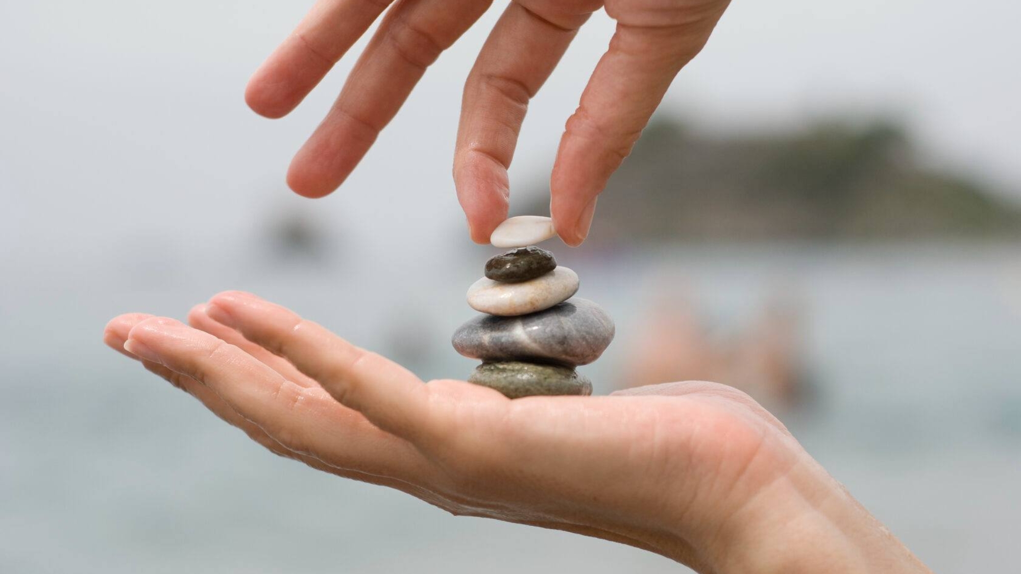 photo_2026-01-05_14-17-03