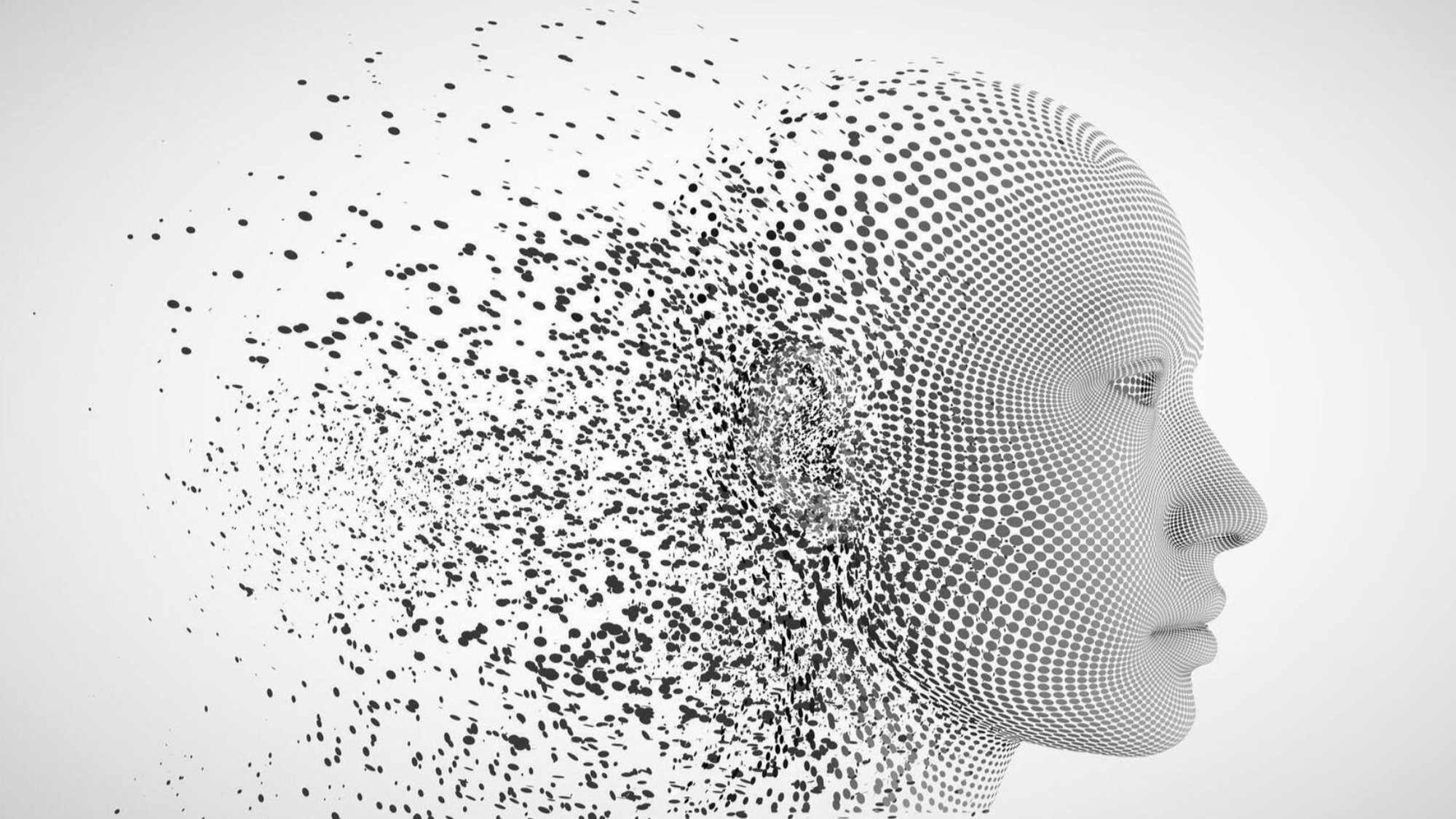 photo_2026-01-13_13-26-55