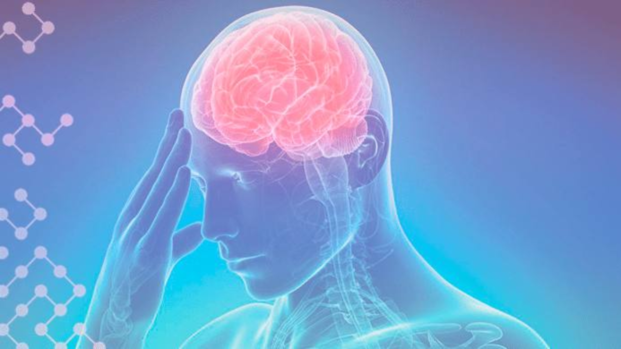 photo_2026-01-22_12-40-07