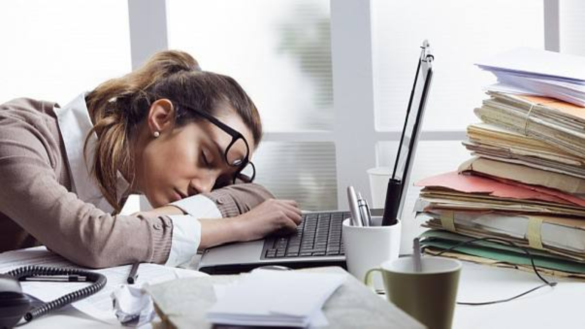 photo_2026-01-26_15-47-50