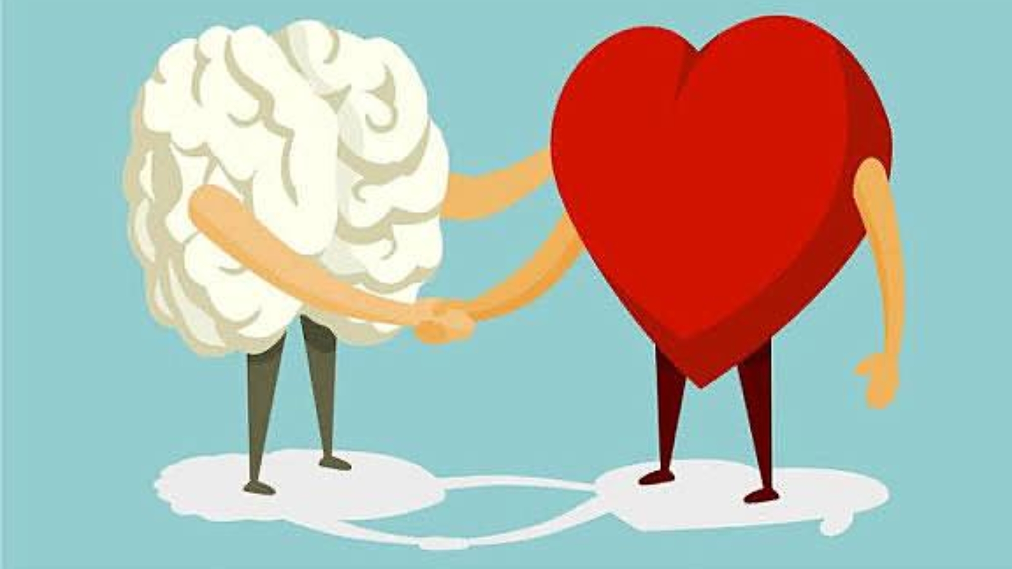 photo_2026-02-10_16-22-38