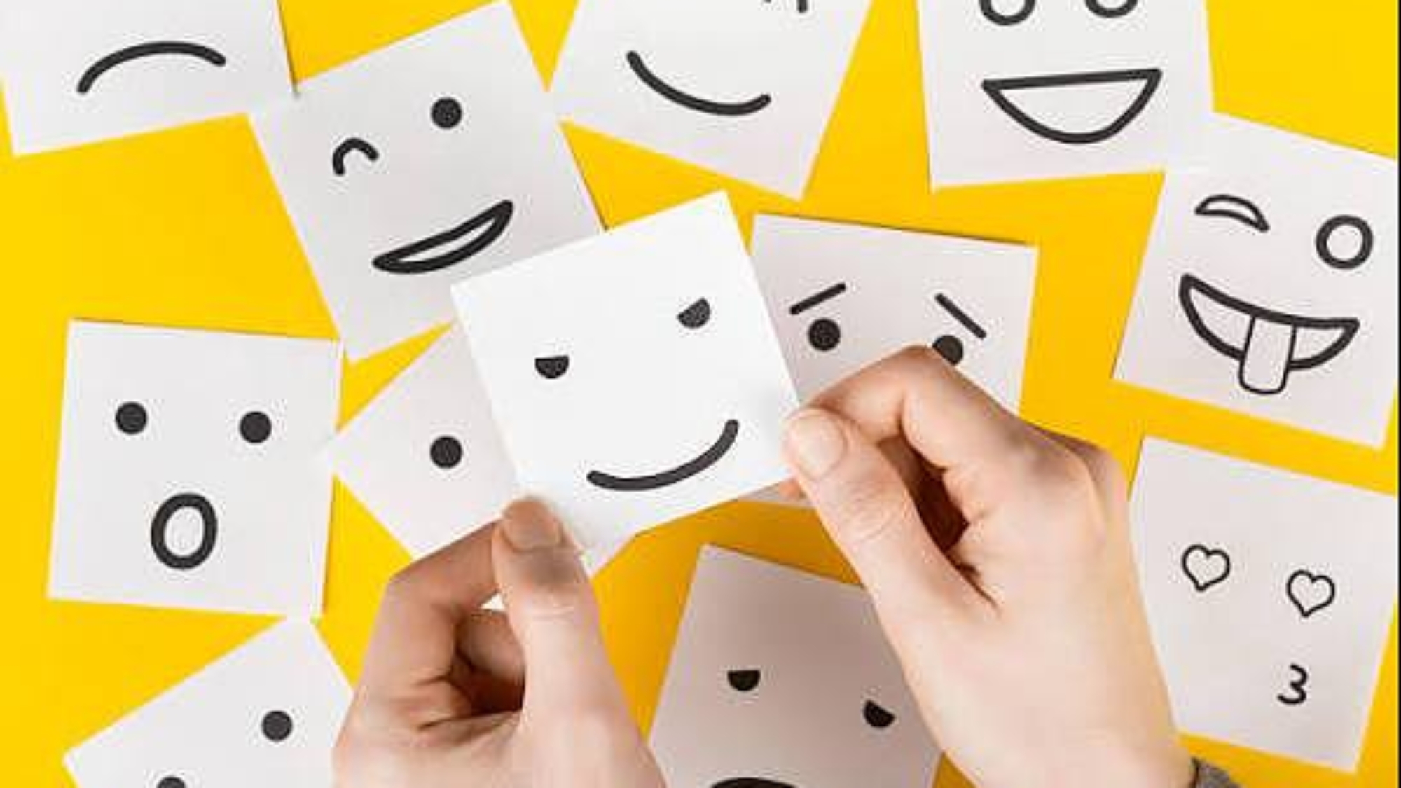 photo_2026-02-11_15-35-32