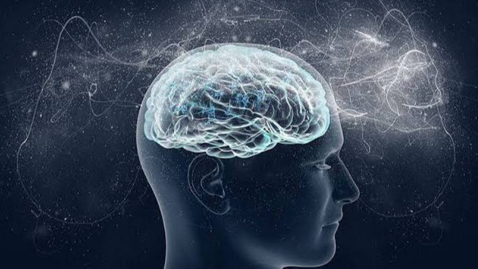 photo_2026-03-03_11-42-01