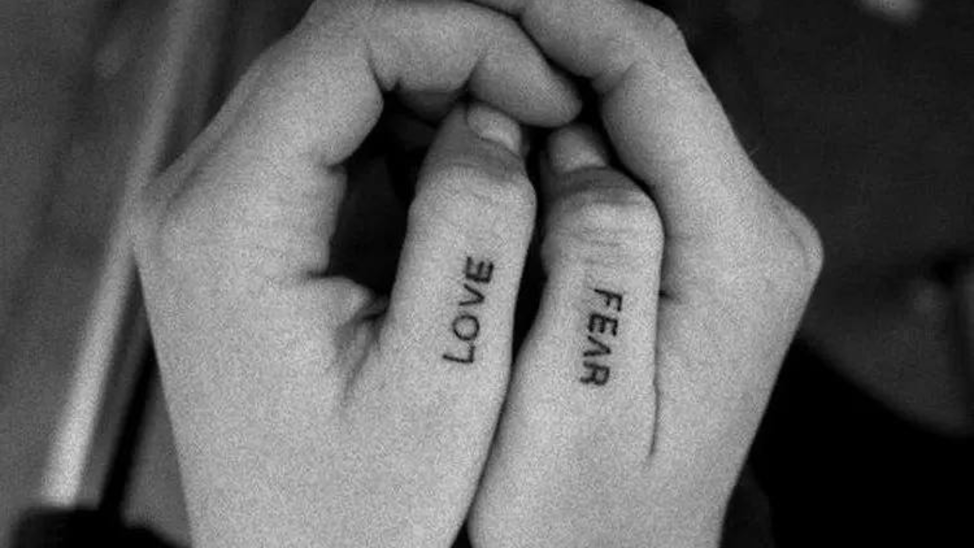 photo_2026-03-16_11-56-26