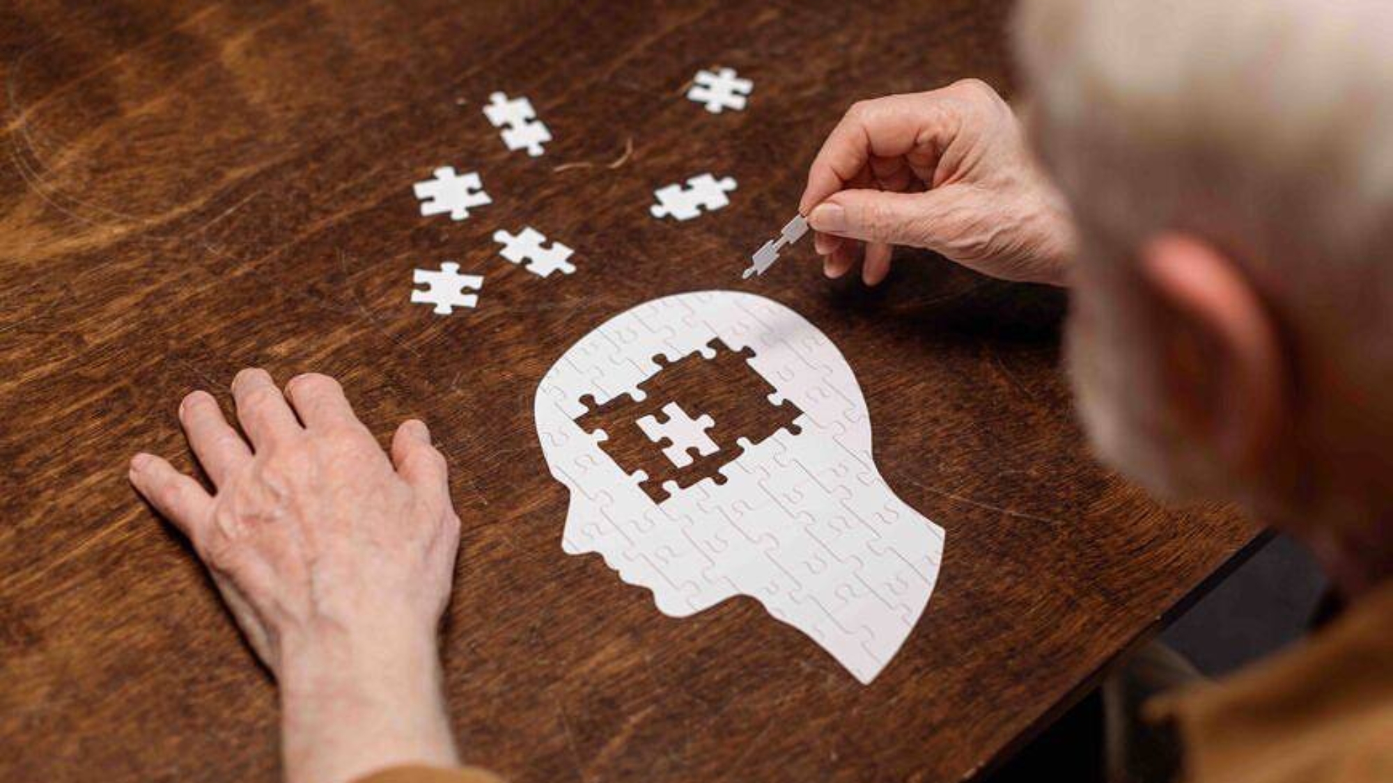 photo_2026-03-20_14-02-31