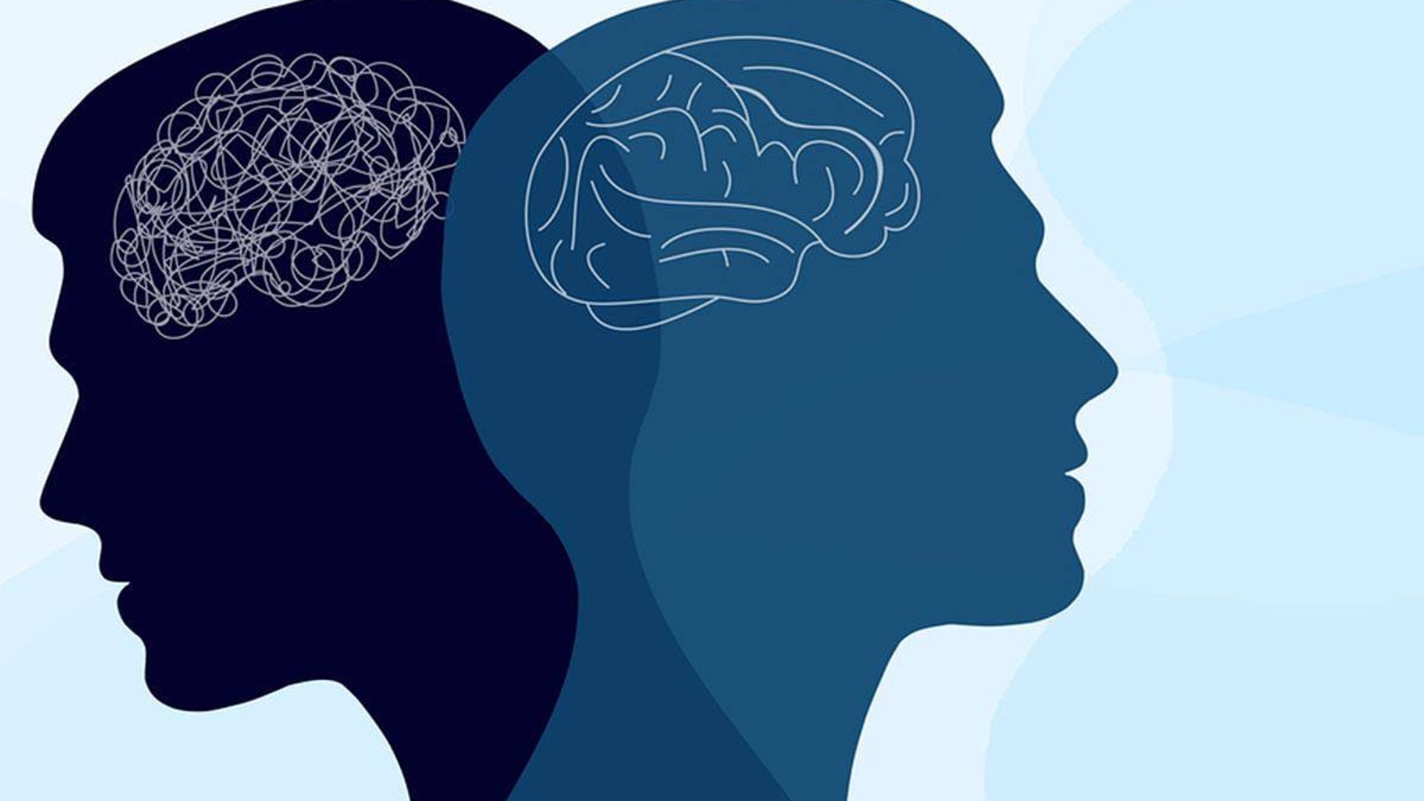 photo_2026-03-20_14-02-37