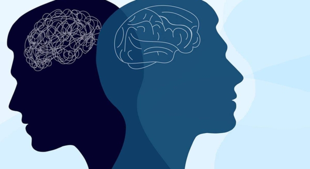 photo_2026-03-20_14-02-37