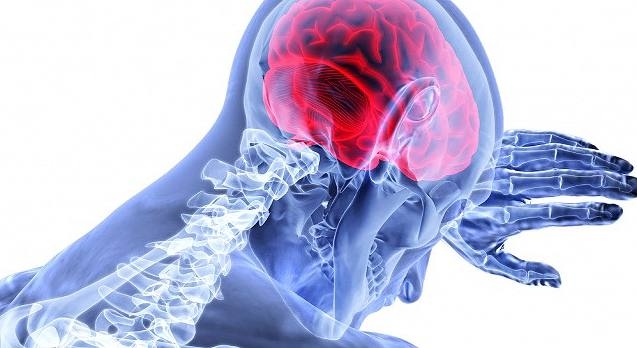 photo_2026-03-26_15-02-45