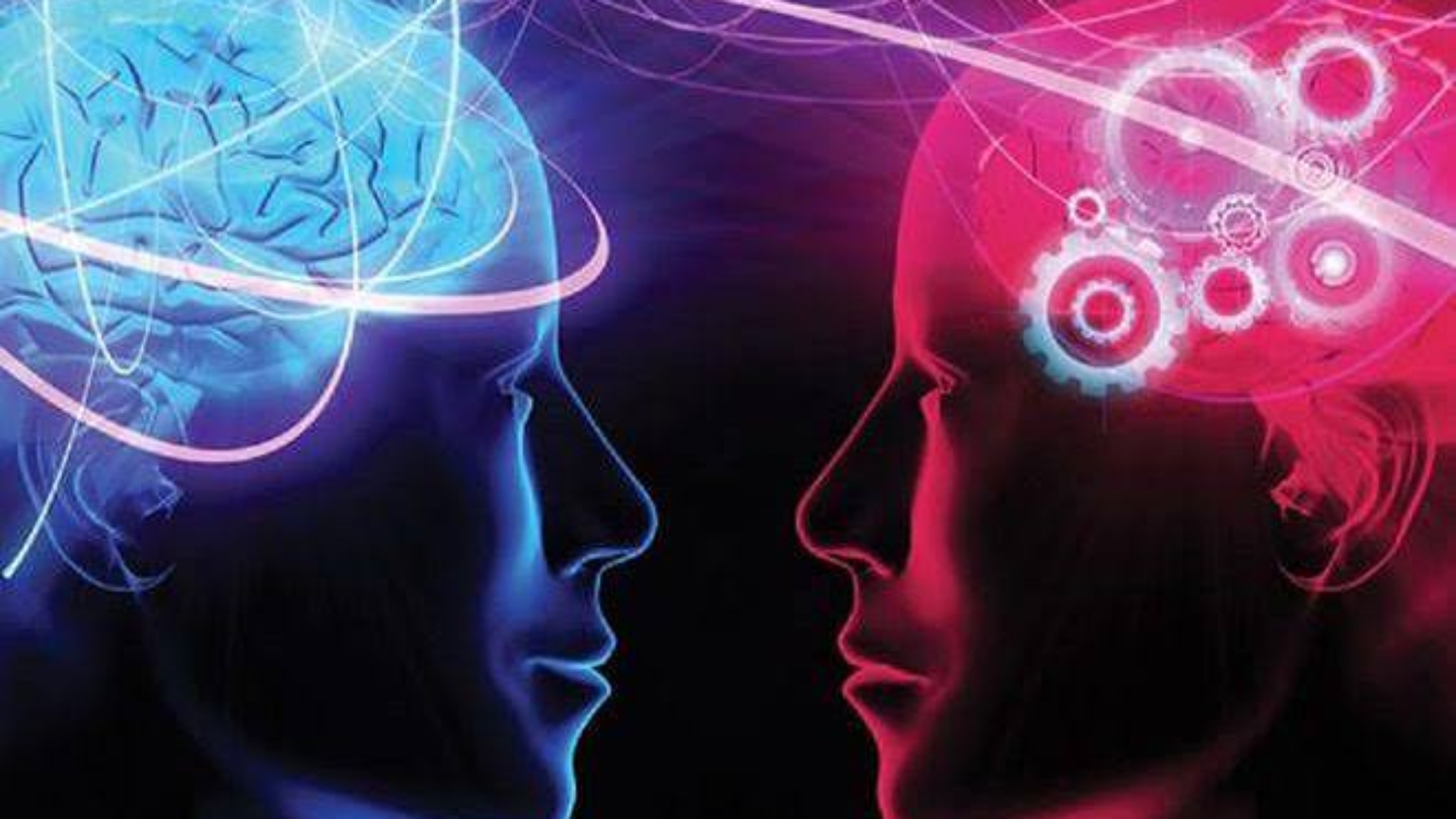 photo_2026-03-31_14-28-09