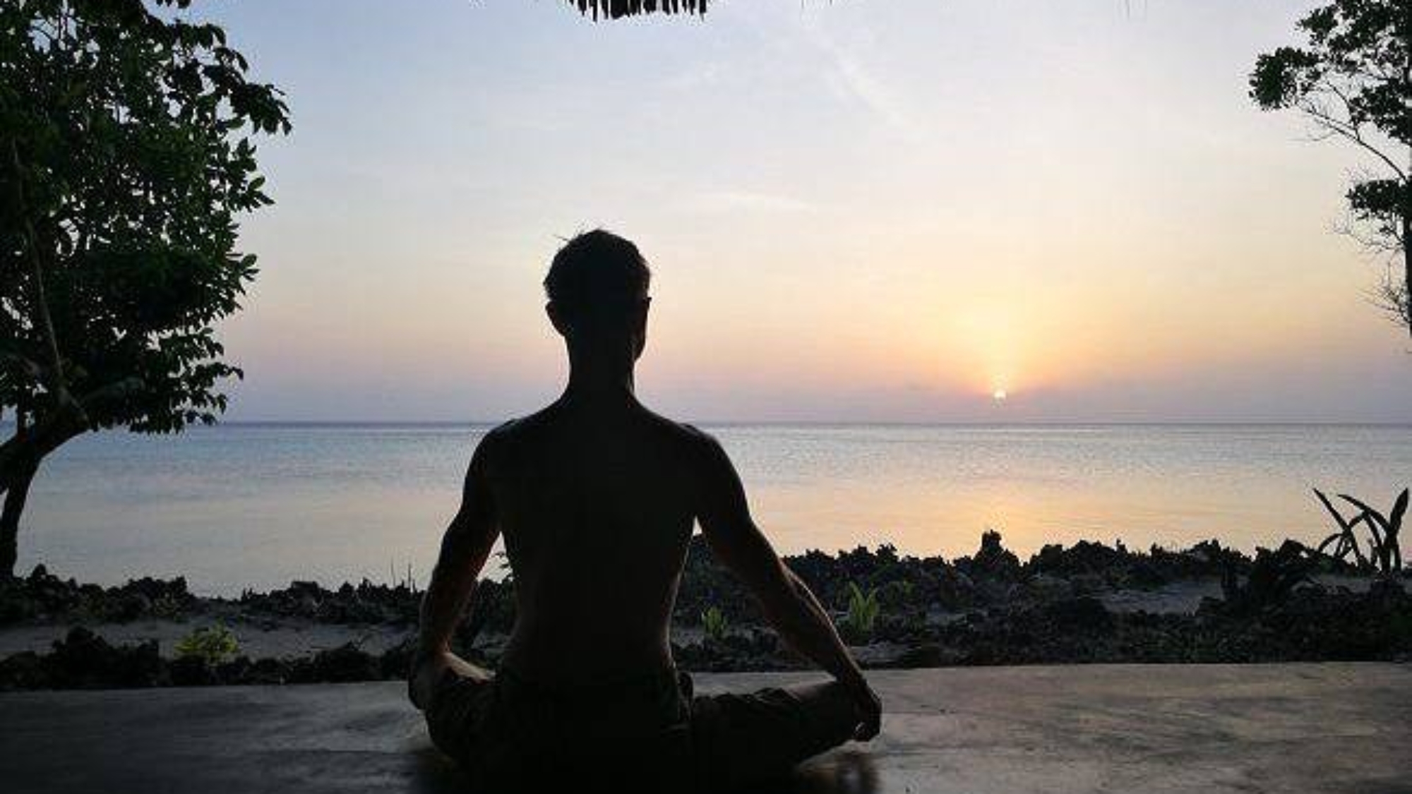 photo_2026-04-03_14-19-23