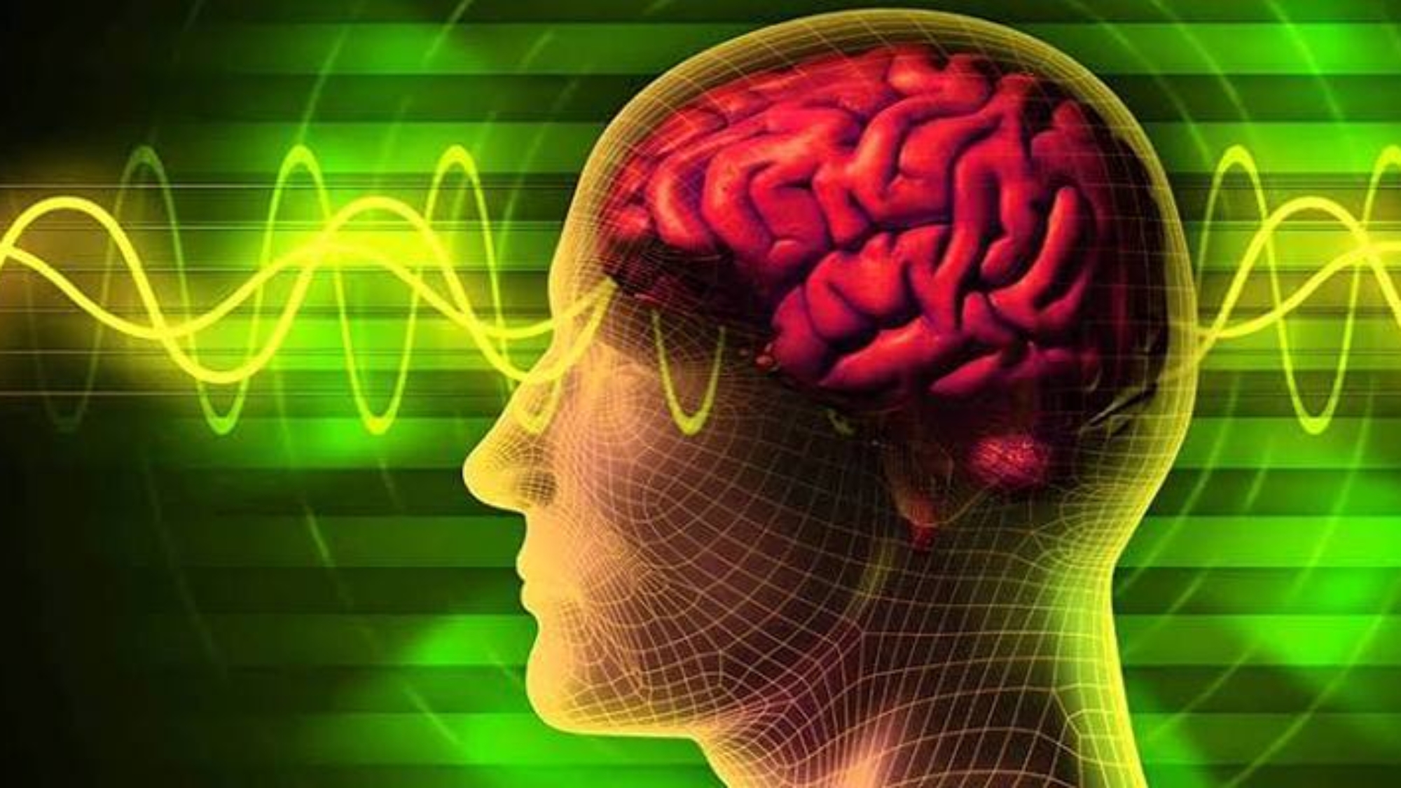 photo_2026-04-13_12-42-10