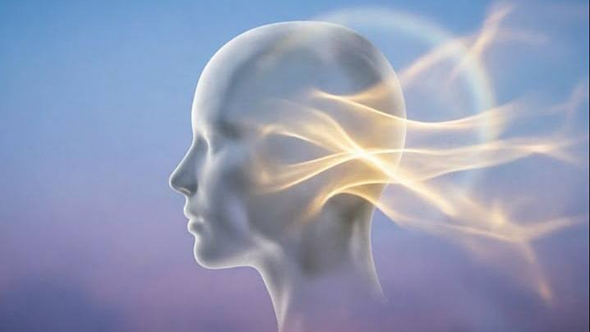 photo_2026-04-14_11-57-11