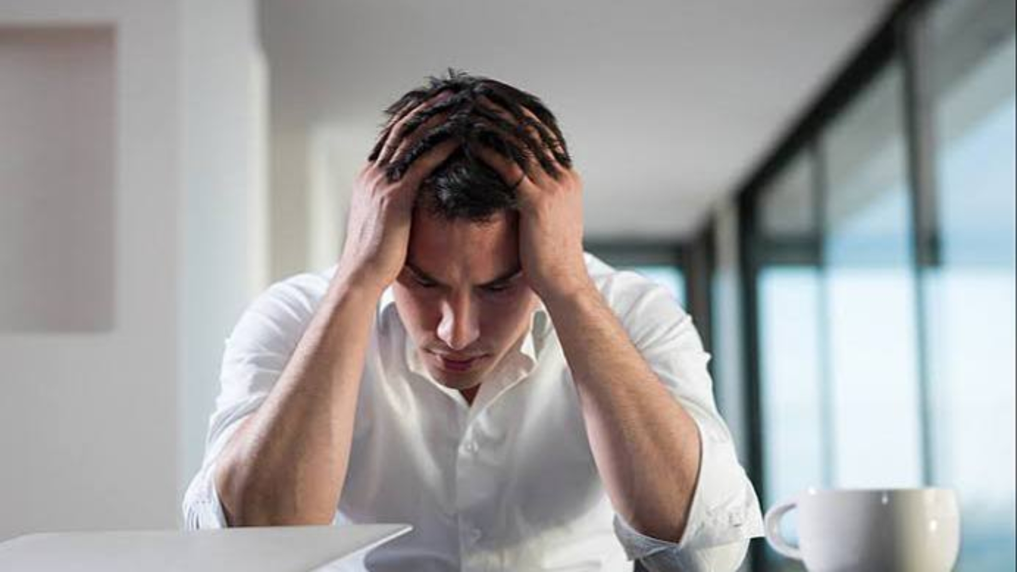 photo_2026-04-24_12-38-19