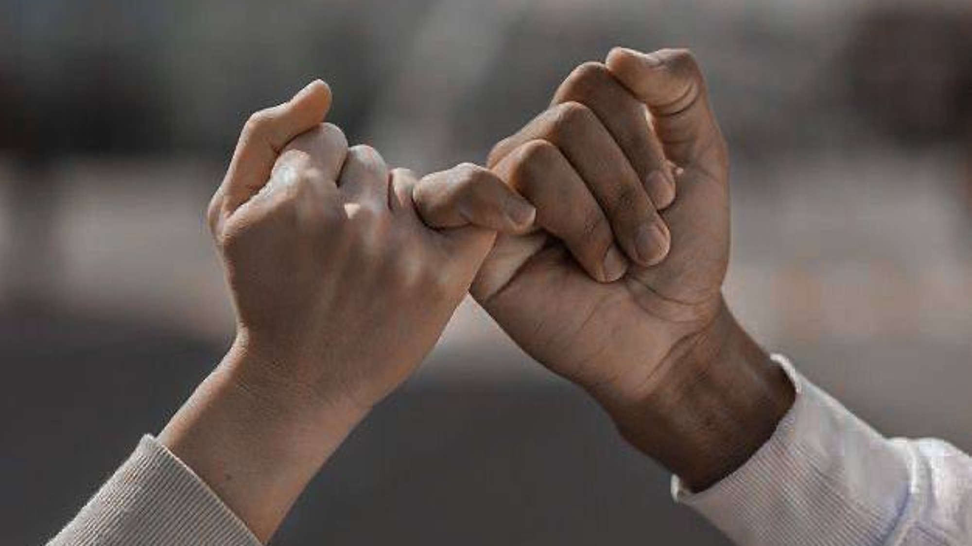 photo_2026-04-28_15-49-53